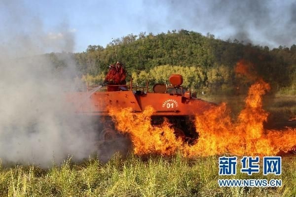 【動畫】森林草原防火“十不準(zhǔn)”“五不燒”！這些安全知識要牢記