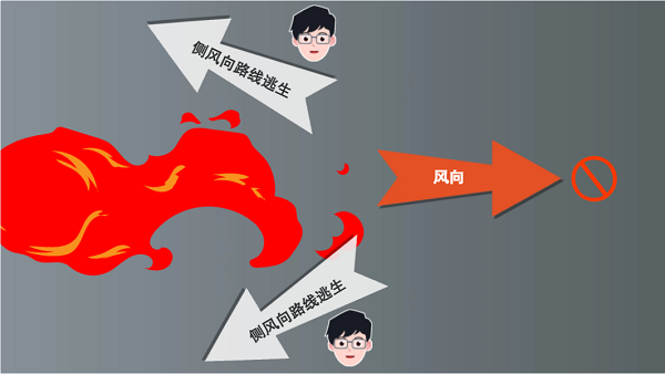 【動畫】森林草原防火“十不準(zhǔn)”“五不燒”！這些安全知識要牢記